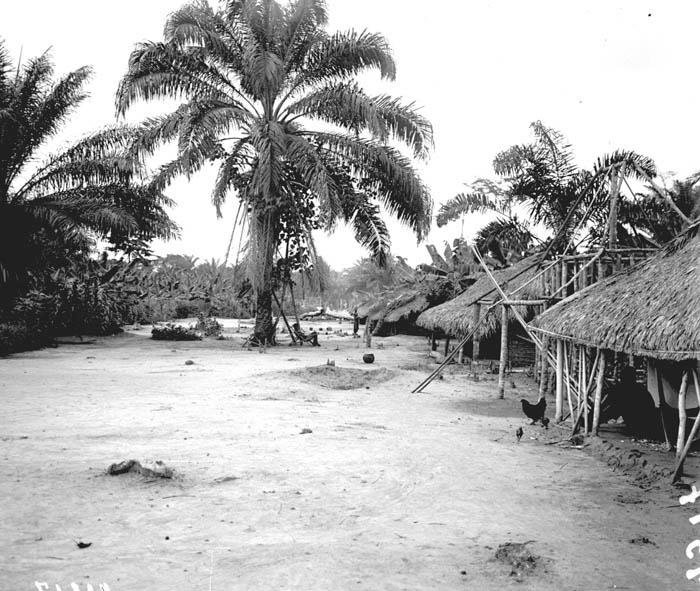 White King, Red Rubber, Black Death Flanders Image